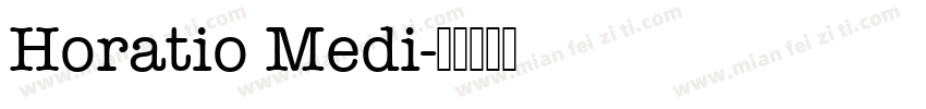 Horatio Medi字体转换